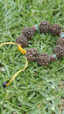 Lakhays Gifts Natural Rudrashi Beaded Bracelet